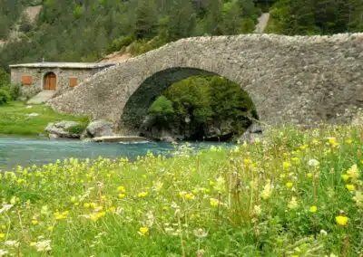 Puente de piedra sobre río entre flores silvestres en el Valle de Ordesa
