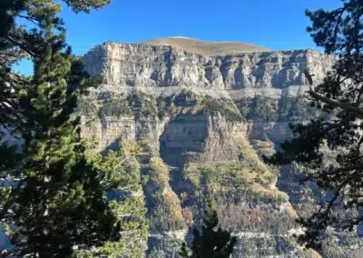 Paredes rocosas y pinos en los Miradores de Ordesa, Pirineo aragonés