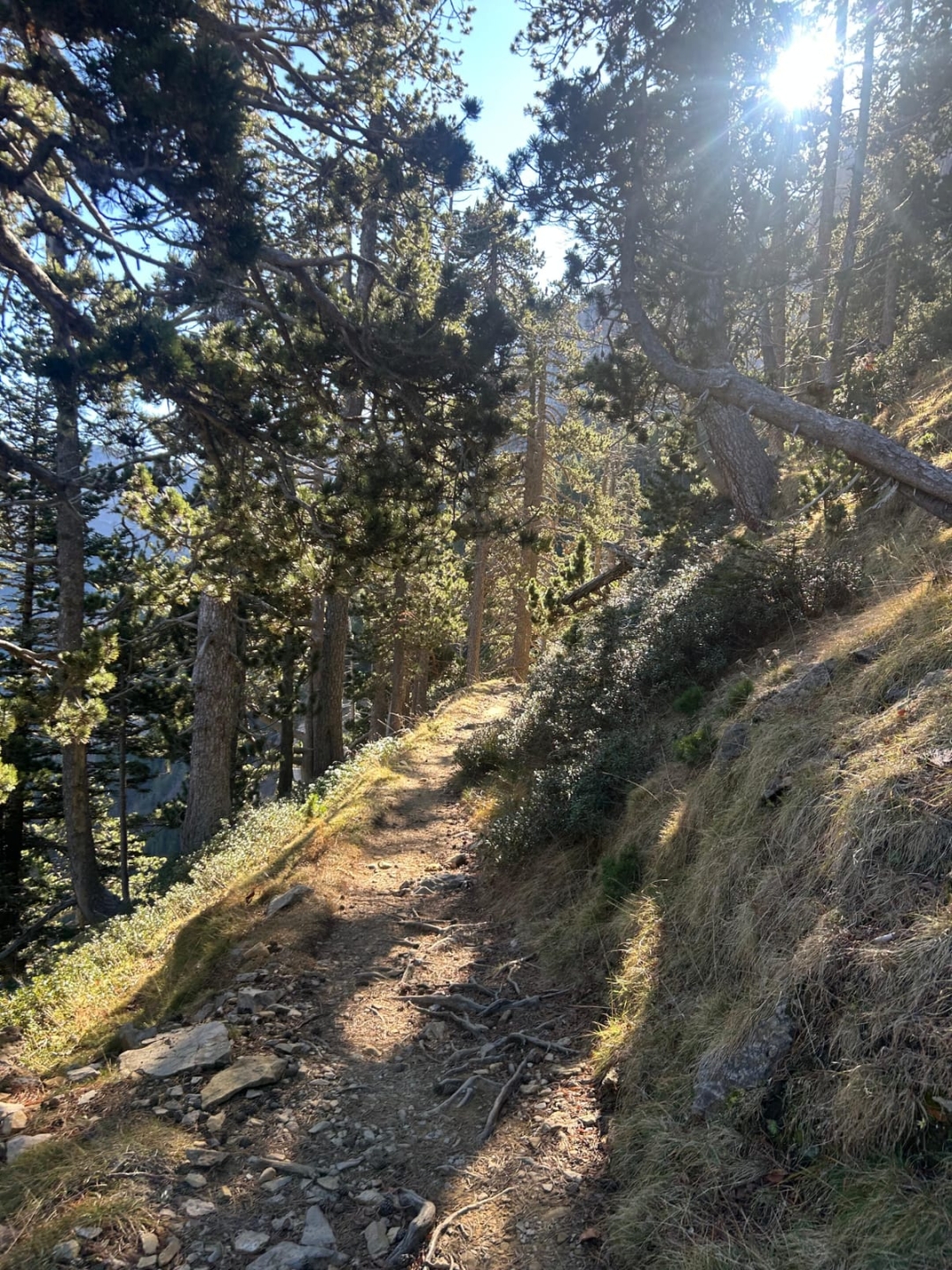 miradores-ordesa-pirineos-hd016