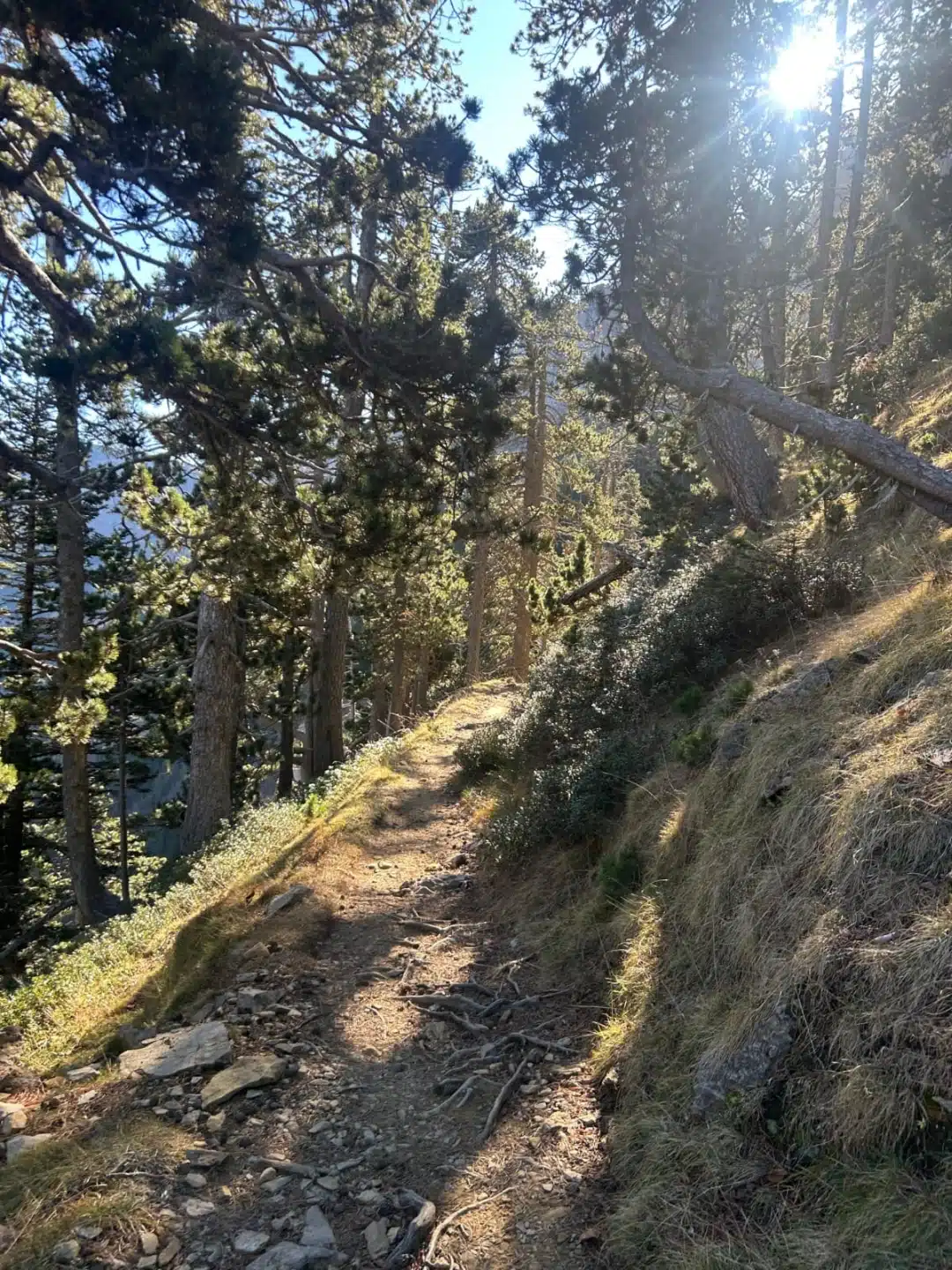 miradores-ordesa-pirineos-hd016